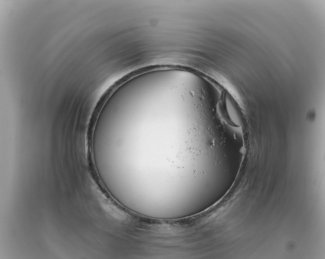 X0000093770980200710231309