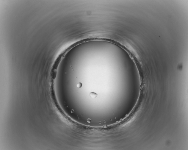 X0000093770981200710231309