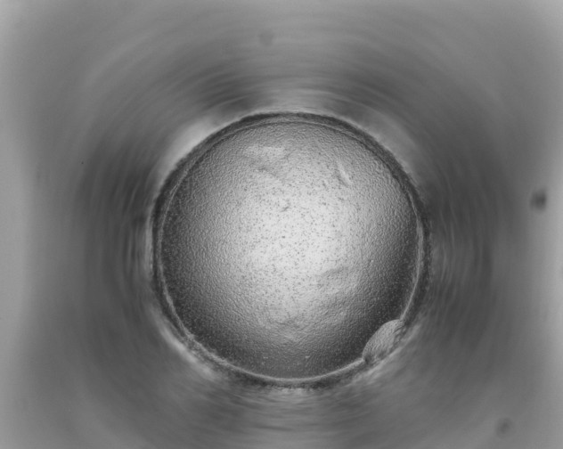 X0000093770982200710231309