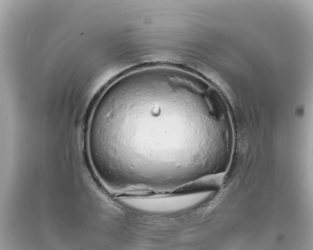 X0000093770983200710231309