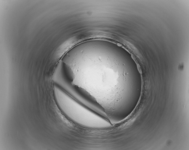 X0000093770985200710231309