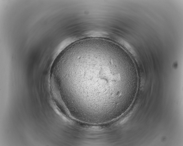 X0000093770986200710231309