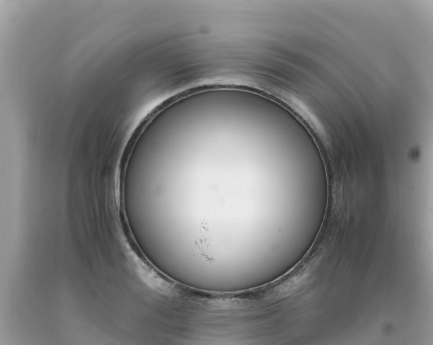 X0000093770988200710231309