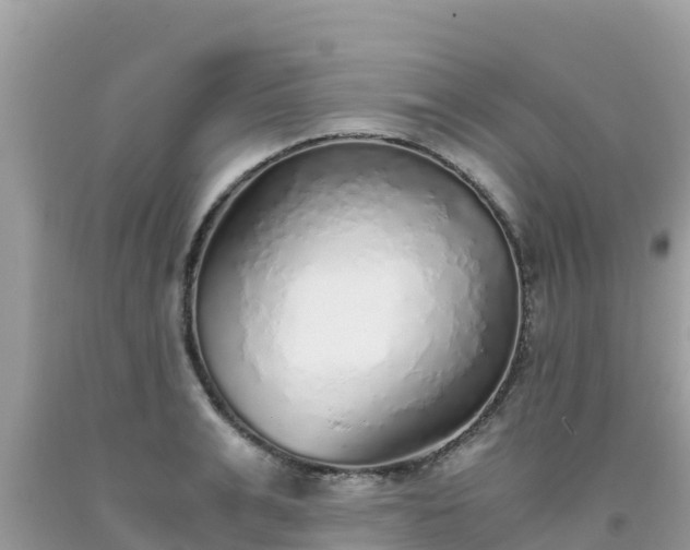 X0000093770991200710231309