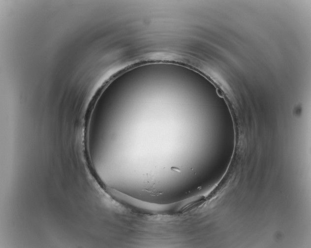 X0000093770992200710231309