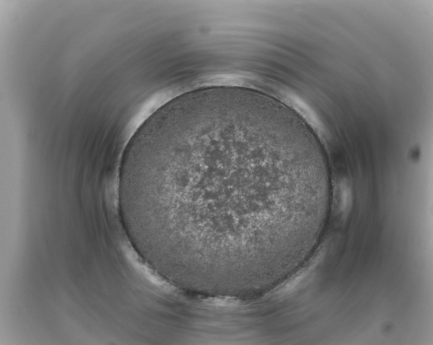 X0000093770994200710231309