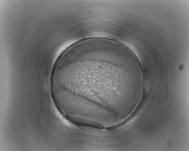 X0000093770995200710231309