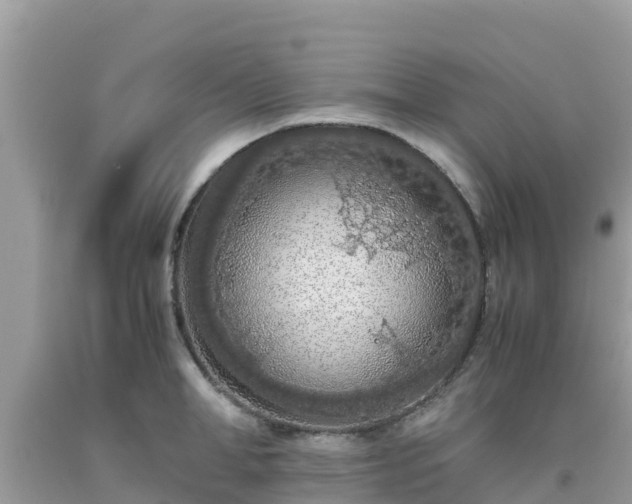 X0000093770998200710231309