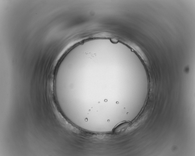 X0000093771000200710231309