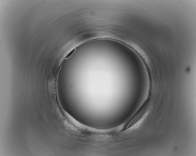 X0000093771001200710231309