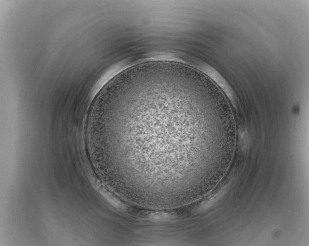 X0000093771002200710231309