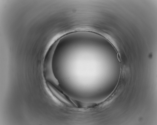 X0000093771005200710231309