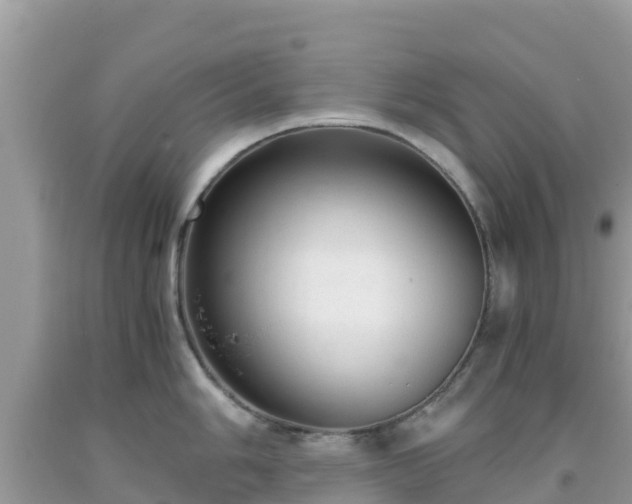 X0000093771006200710231309