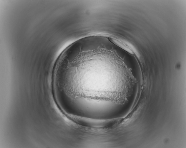 X0000093771007200710231309