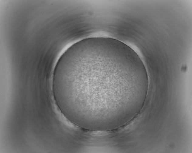 X0000093771008200710231309