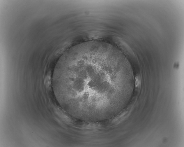 X0000093771011200710231308