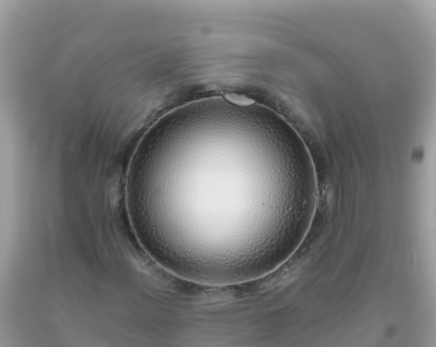 X0000093771012200710231308