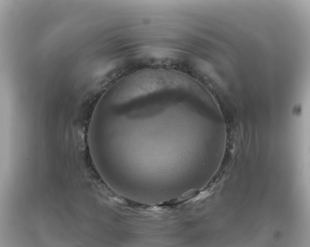 X0000093771013200710231308