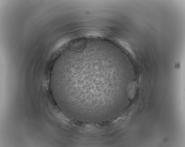 X0000093771015200710231308