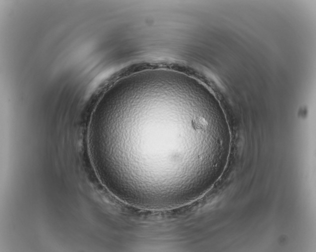 X0000093771016200710231308