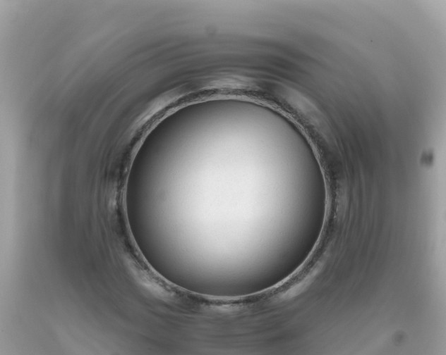 X0000093771017200710231308