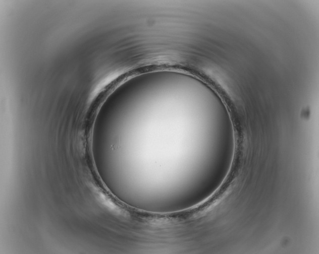 X0000093771018200710231308