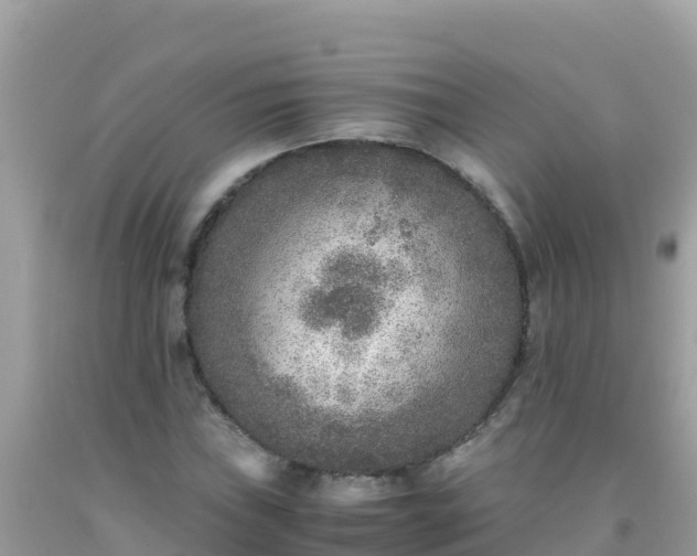 X0000093771019200710231308