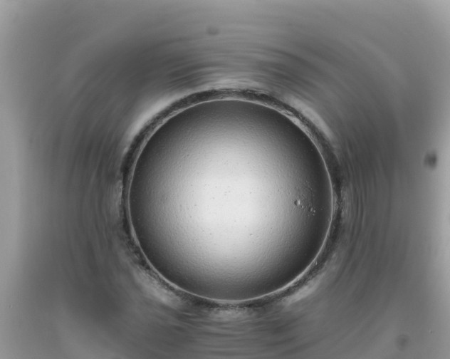 X0000093771021200710231308