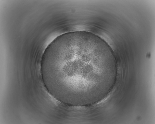 X0000093771023200710231308