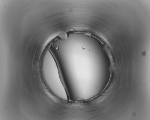 X0000093771026200710231308