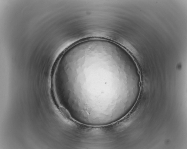 X0000093771028200710231308