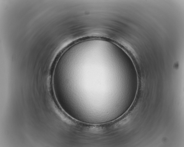 X0000093771029200710231308