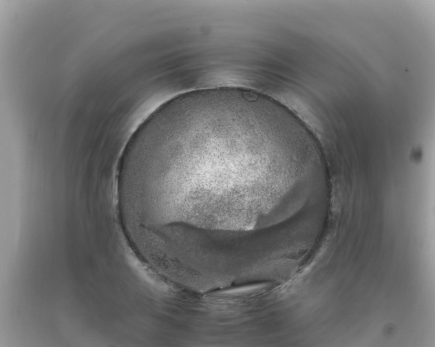 X0000093771031200710231308