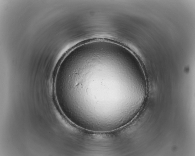 X0000093771032200710231308