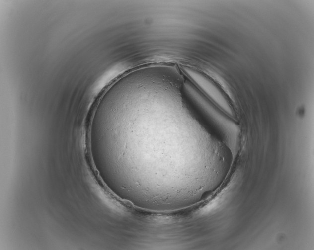 X0000093771034200710231308