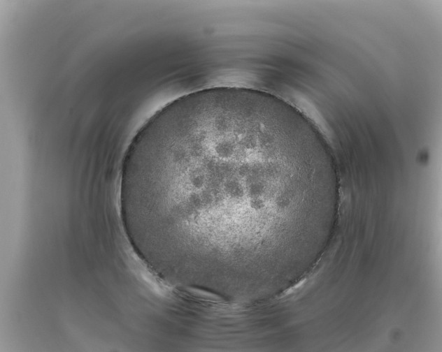 X0000093771035200710231308