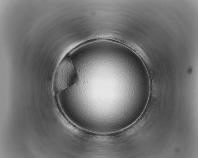 X0000093771036200710231308