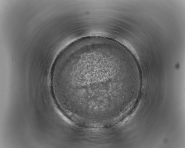 X0000093771037200710231308