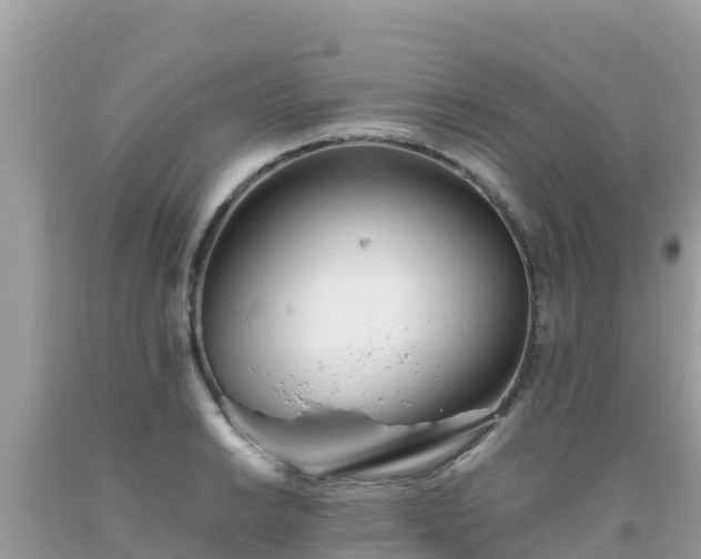 X0000093771038200710231308