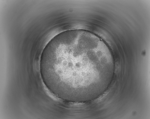 X0000093771039200710231308