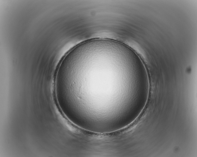 X0000093771040200710231308