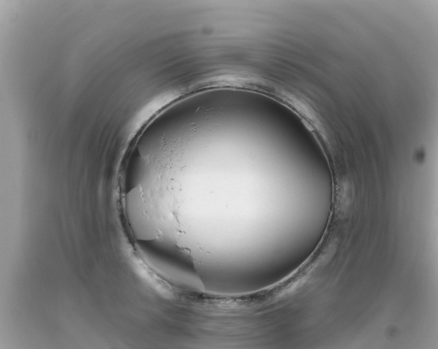 X0000093771042200710231308