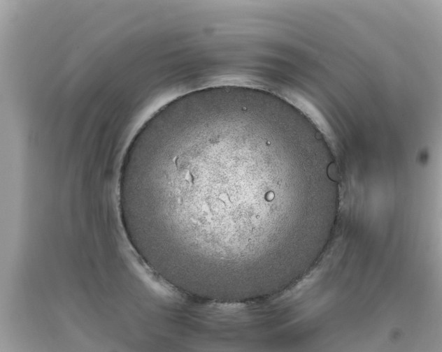 X0000093771043200710231308