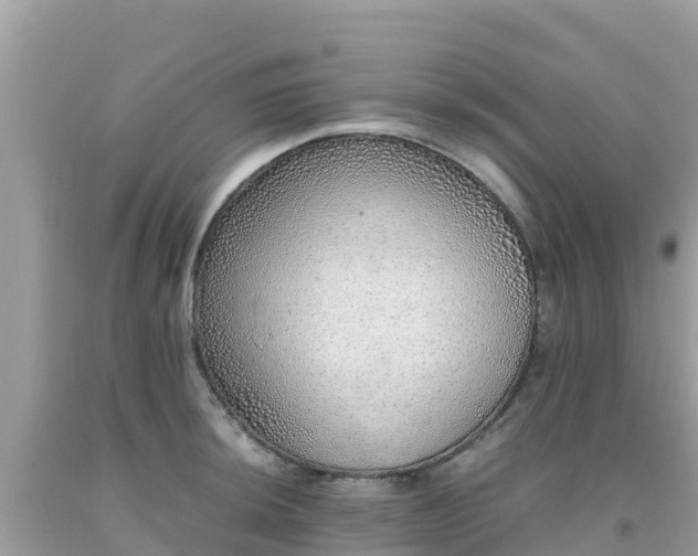 X0000093771044200710231308