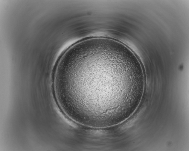 X0000093771045200710231308