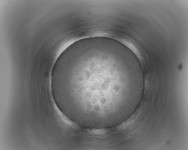 X0000093771047200710231308