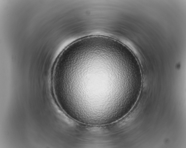 X0000093771048200710231308