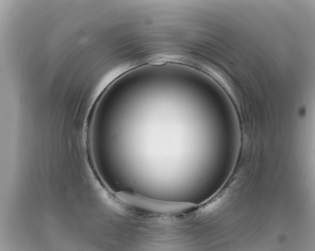 X0000093771050200710231308