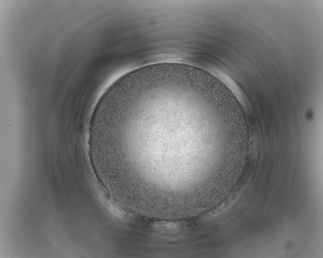 X0000093771051200710231308