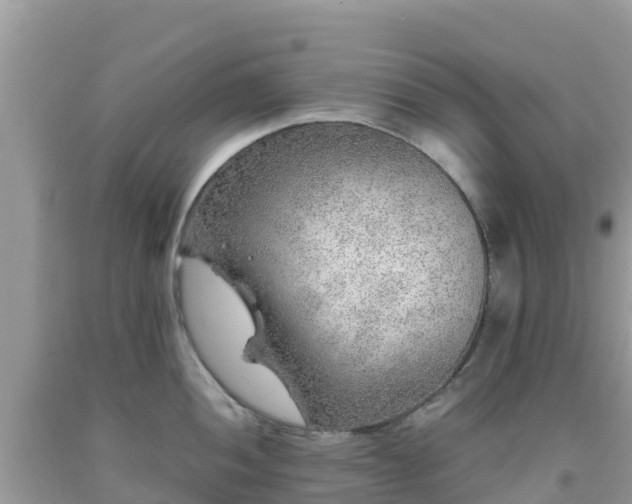 X0000093771052200710231309